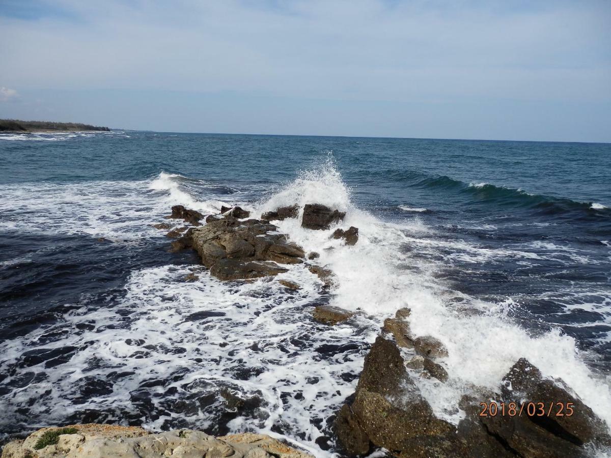 Location Vacances Linguizzetta 外观 照片